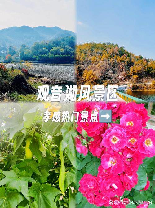 孝感女人很盛开的处所