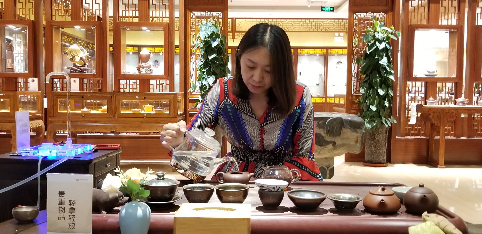 北京品茶洋马