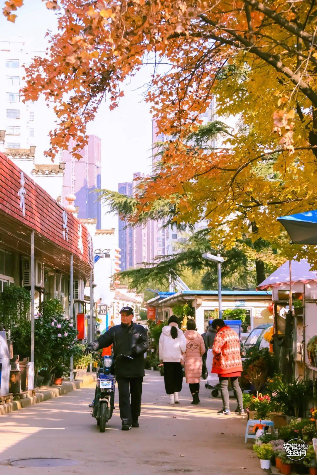 岳阳推拿一条街在哪里呀
