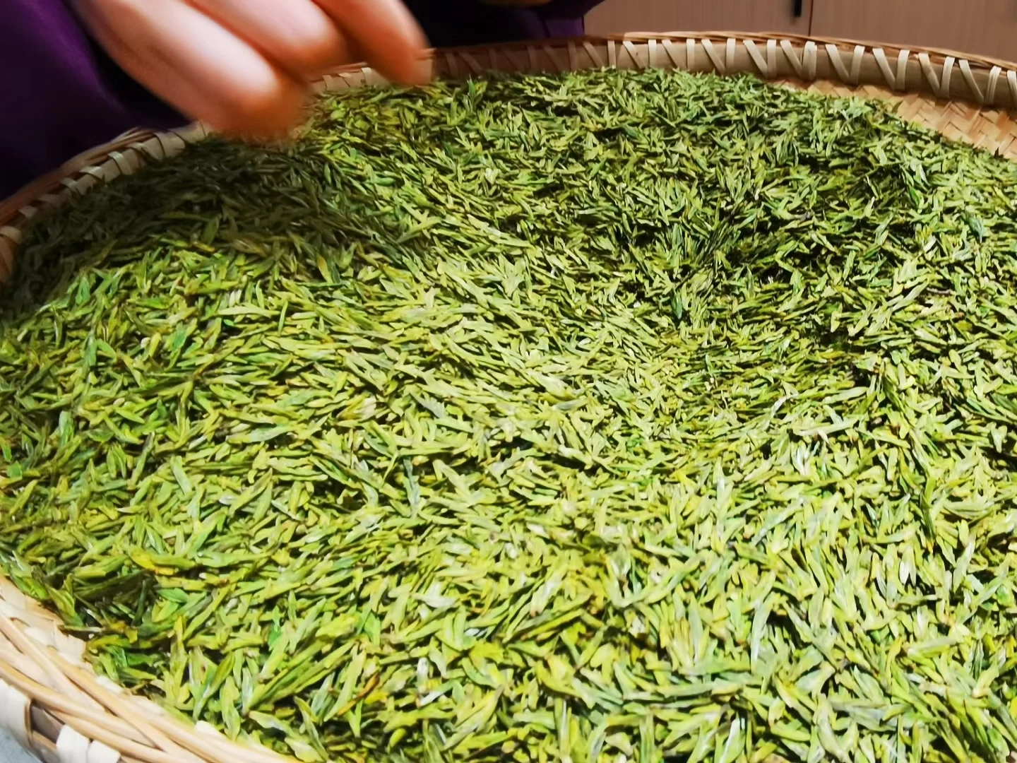 新茶嫩茶已到店