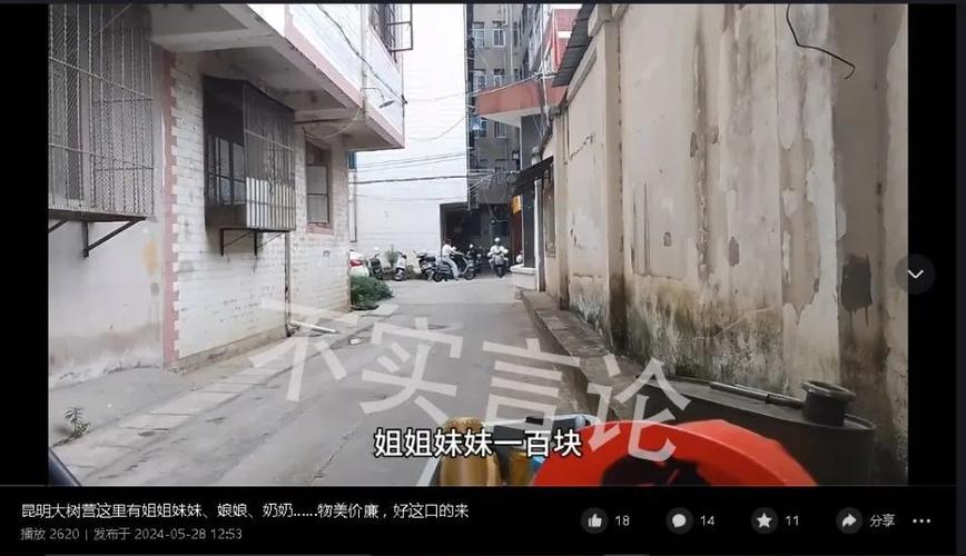 昆明大树营美女群在哪里