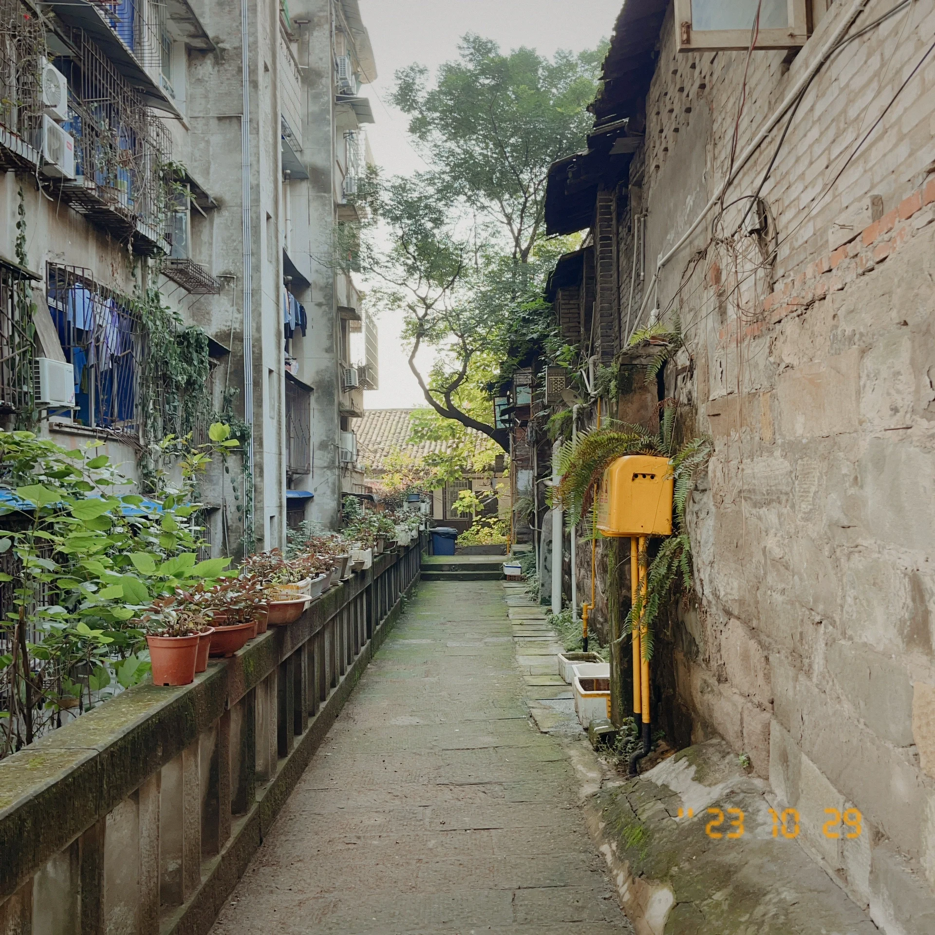 江安好玩的幼小路