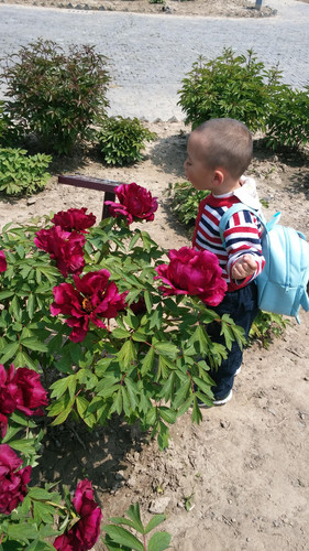 千花上海后花圃论坛