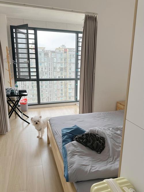 洛阳鸡窝公寓