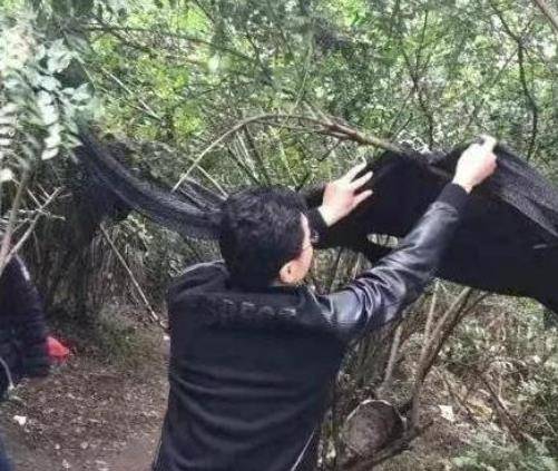 小树林生意