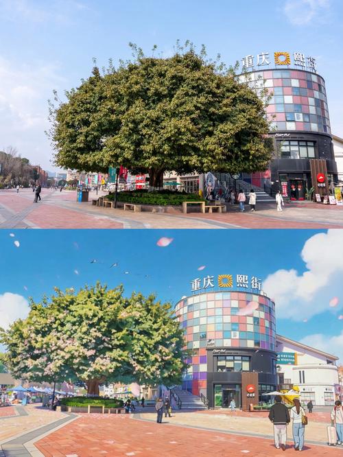 沉庆大学城熙街5栋服务