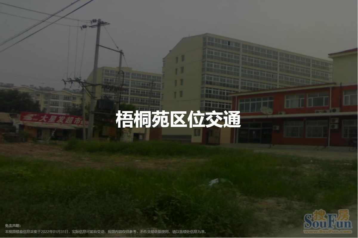 廊坊桐柏村有服务吗?