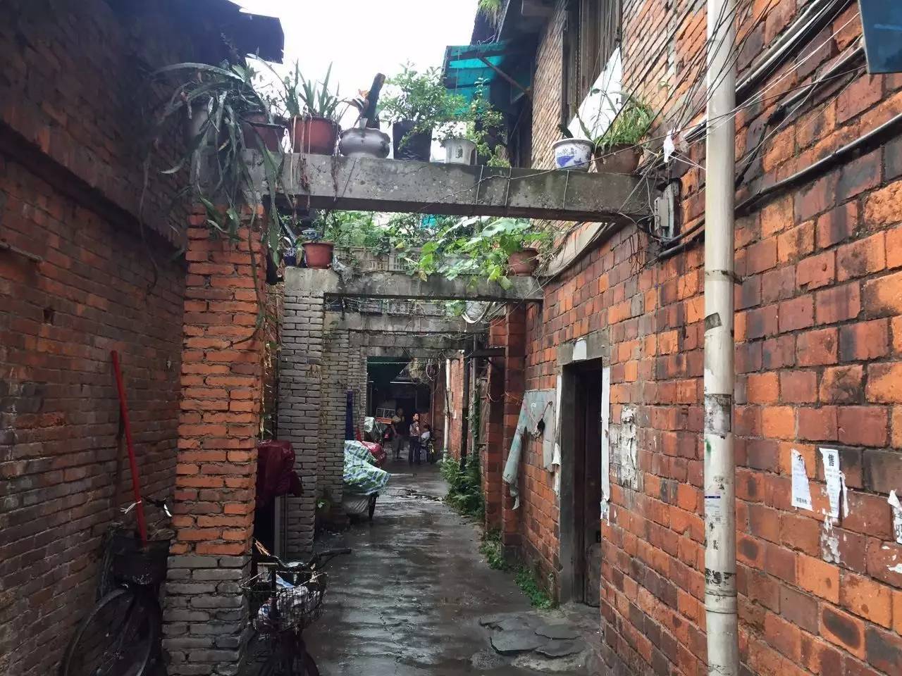 无为东门幼小路几多钱