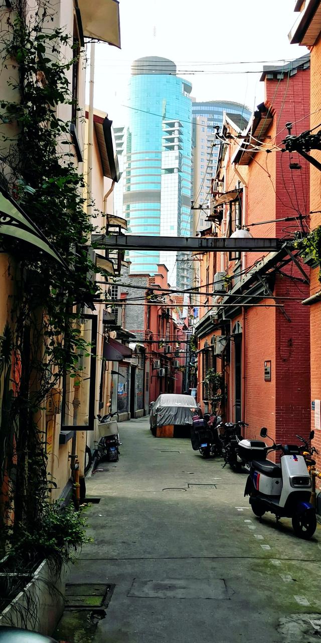嵊州富民街幼小路
