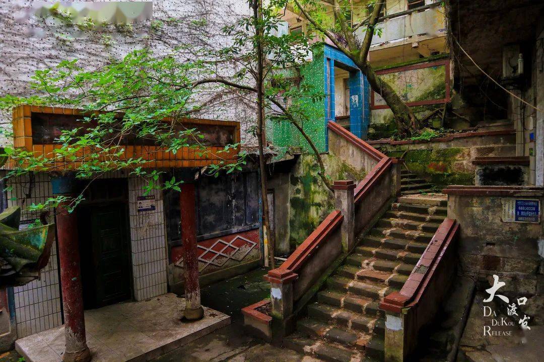 大渡口幼小路到底是哪里
