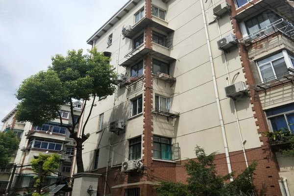 南坪五幼区妹儿是在哪个地位