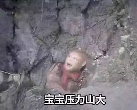 通辽市北楼凤