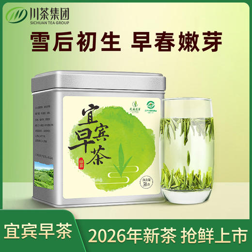 2026成都新茶嫩茶靠谱