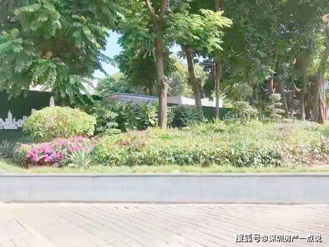 龙华民治左近幼巷