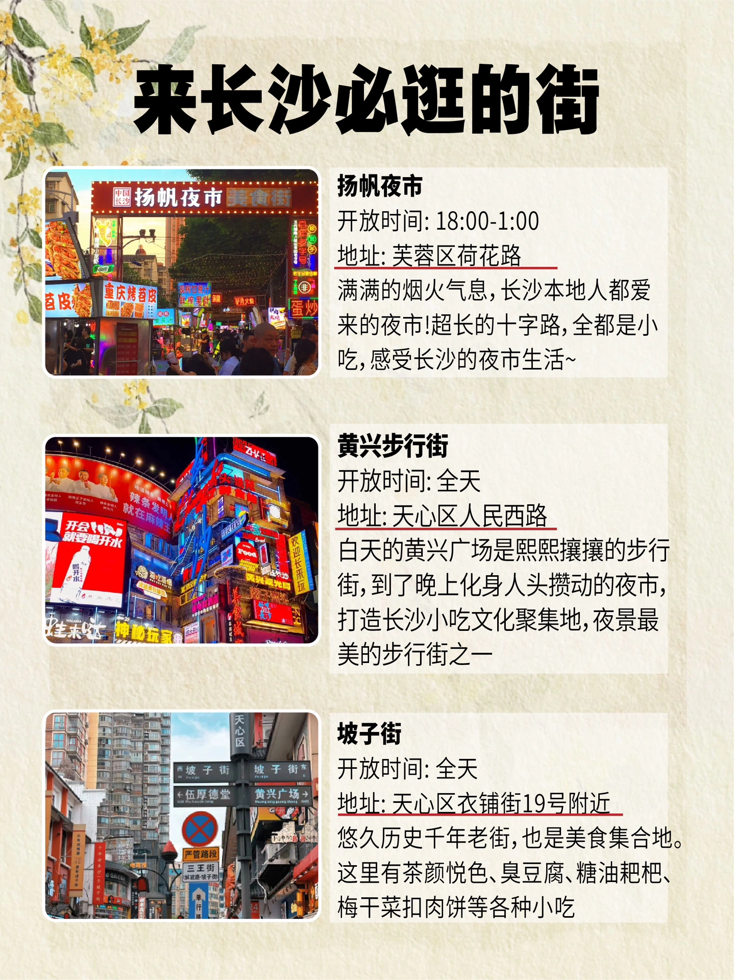 长沙150块的幼小路在哪里