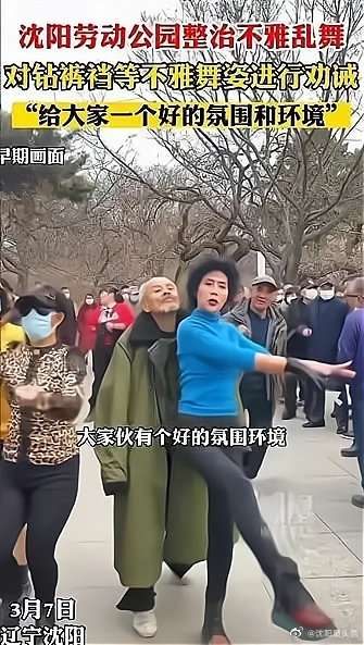 沈阳市劳动公园大姐谈好去哪