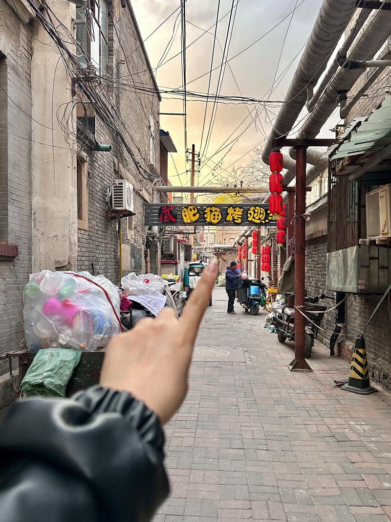滨海新区哪里有幼小路