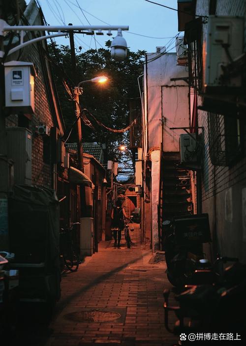 2026南山区晚上幼小路
