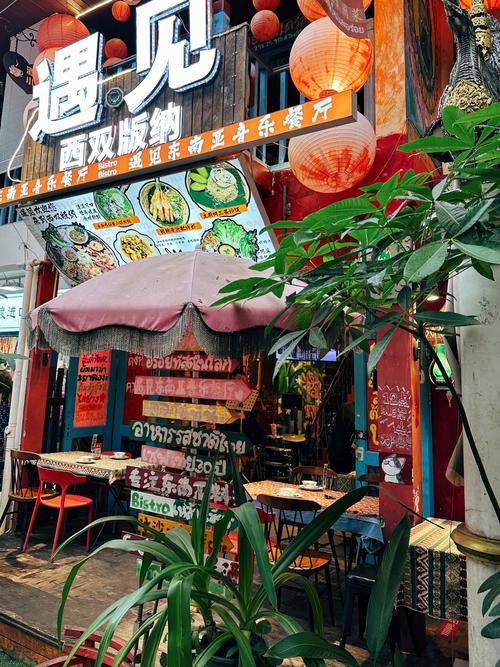 西双版纳哪里有幼小路招客