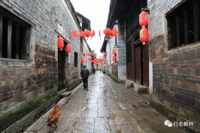 郴州嘉禾幼小路