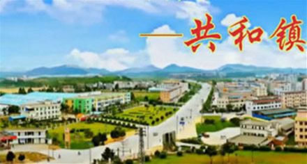 鹤山共和镇幼小路
