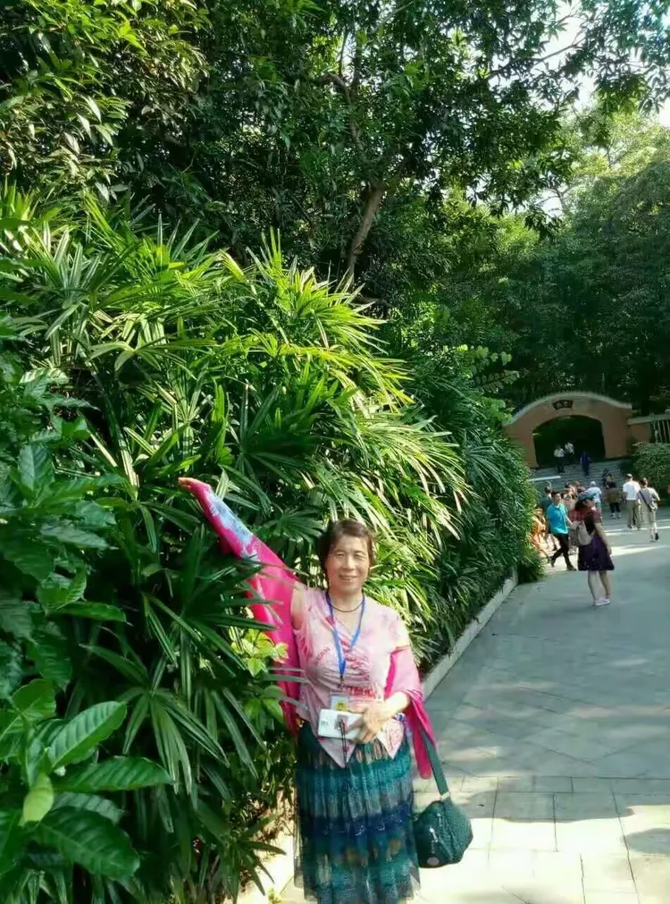 普洱翠微的女去哪里了