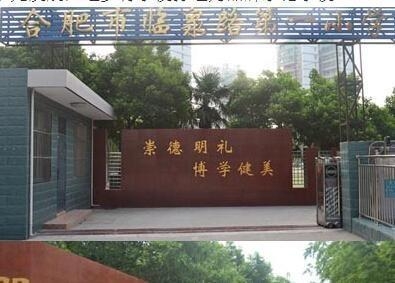 岳阳临泉路野鸡