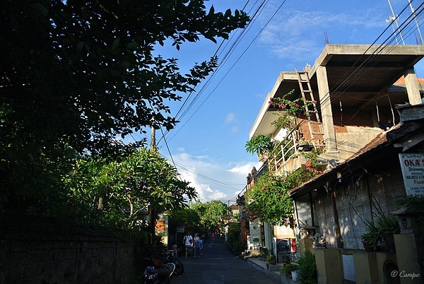 沙井左近哪里有幼小路