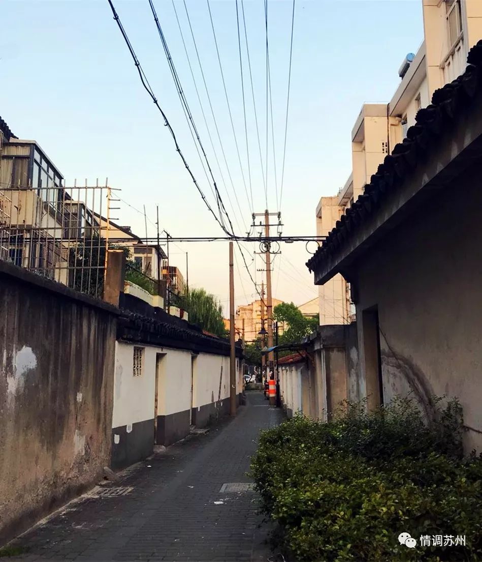 盛泽小巷子目澜路2026
