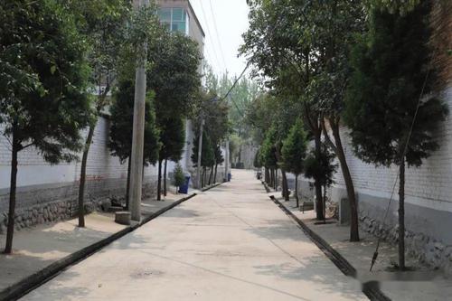 灵宝野鸡巷在什么地方