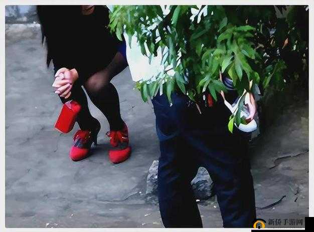公园幼树中老年买卖图片大全