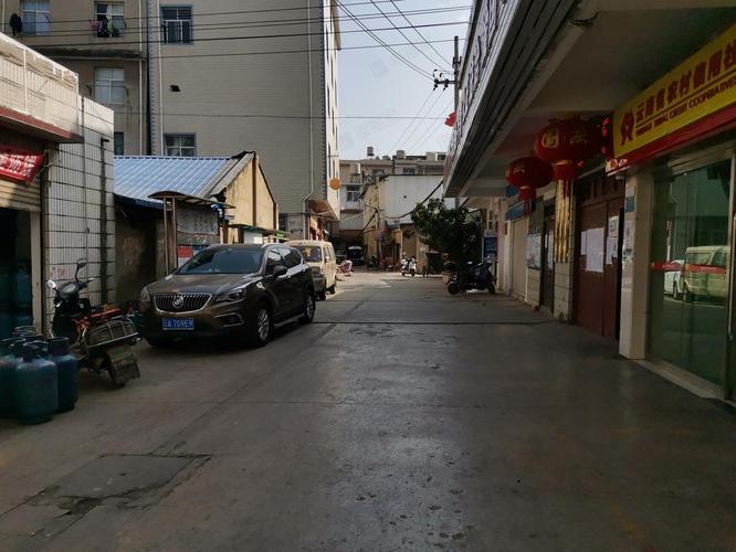 昆明大树营怎么找嬢嬢