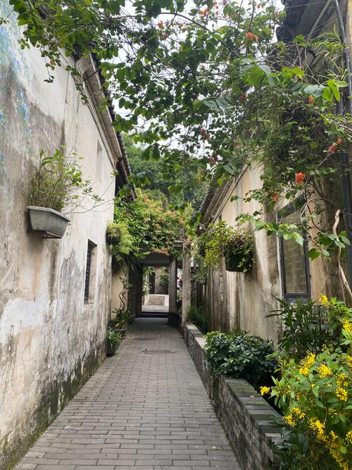 西峰翠竹花圃小路