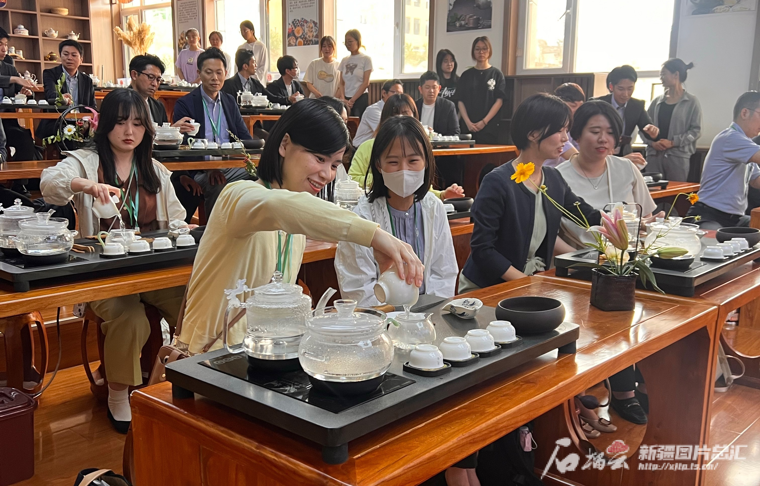 乌鲁木齐大学生品茶