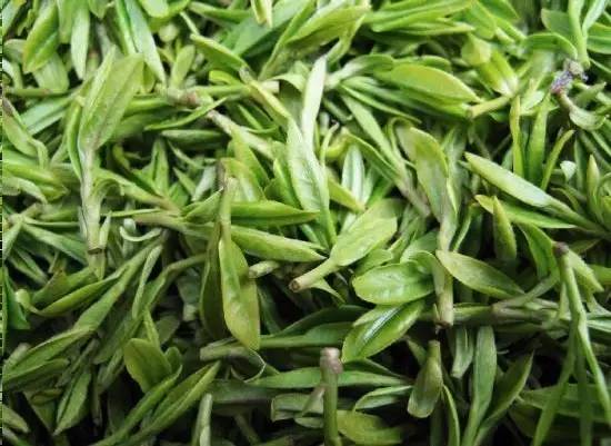 三门峡嫩茶