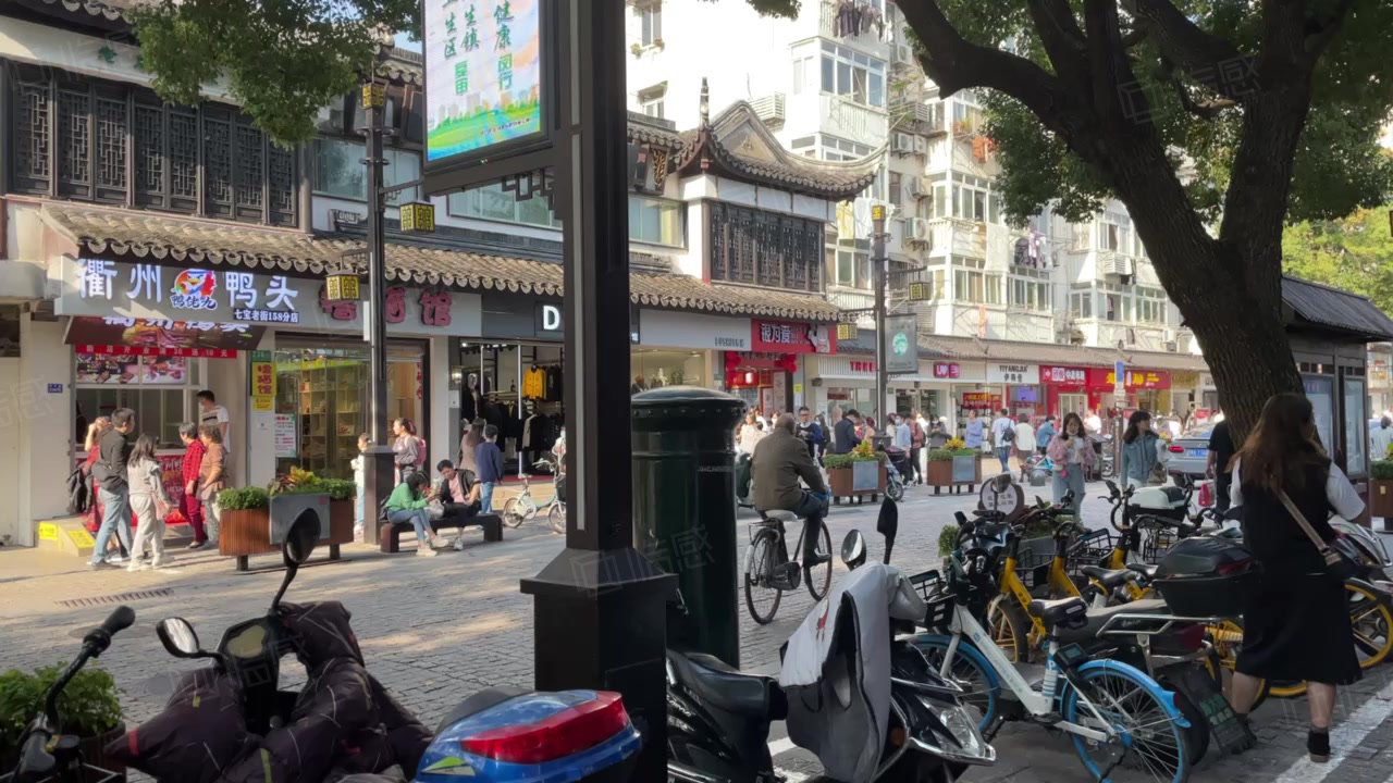 七宝哪里有小路钻