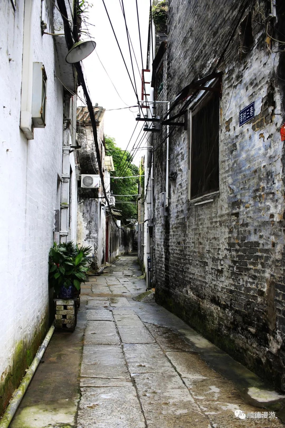 康桥镇幼小路在哪