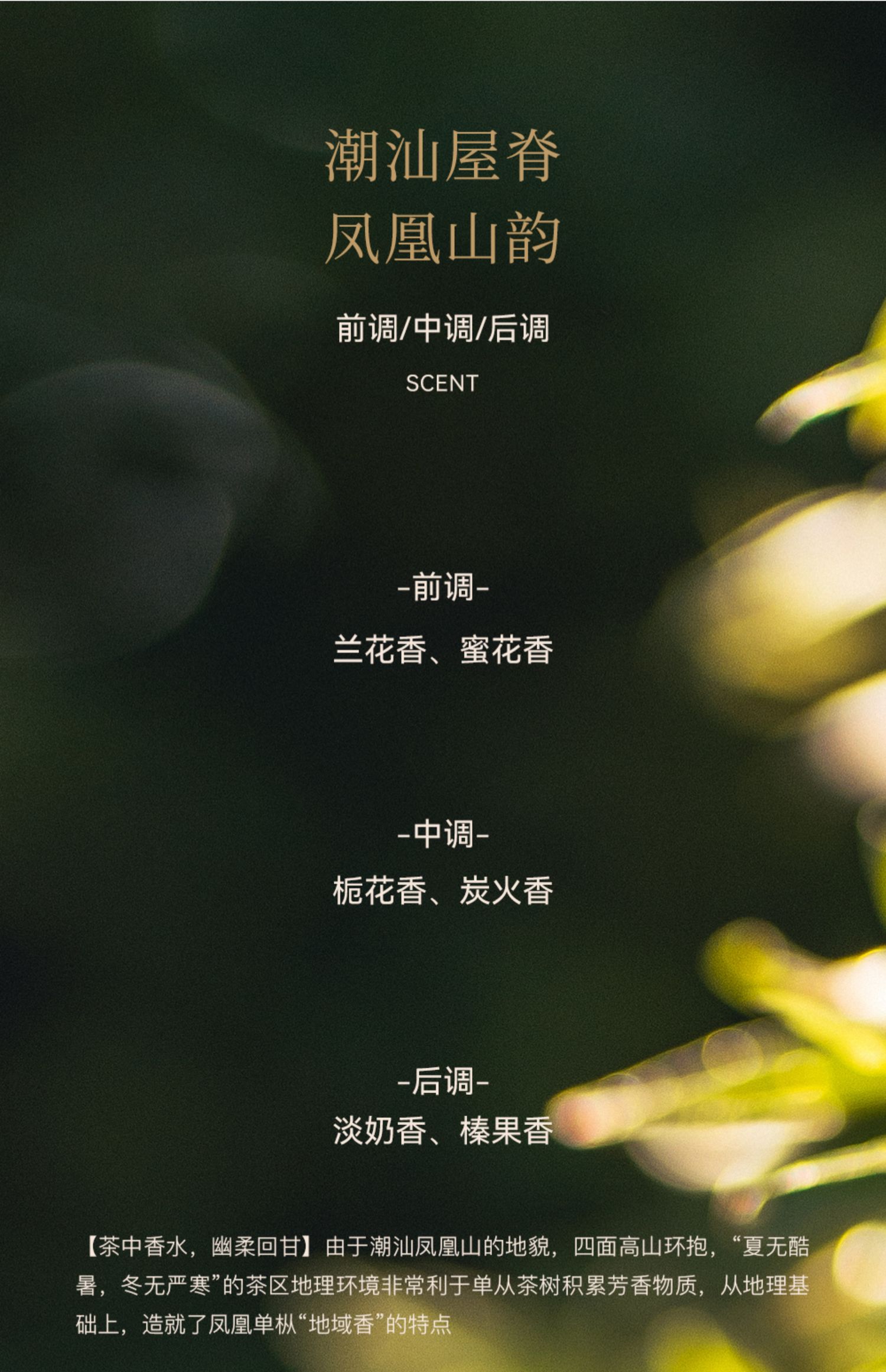昭通哪里有95或98新茶