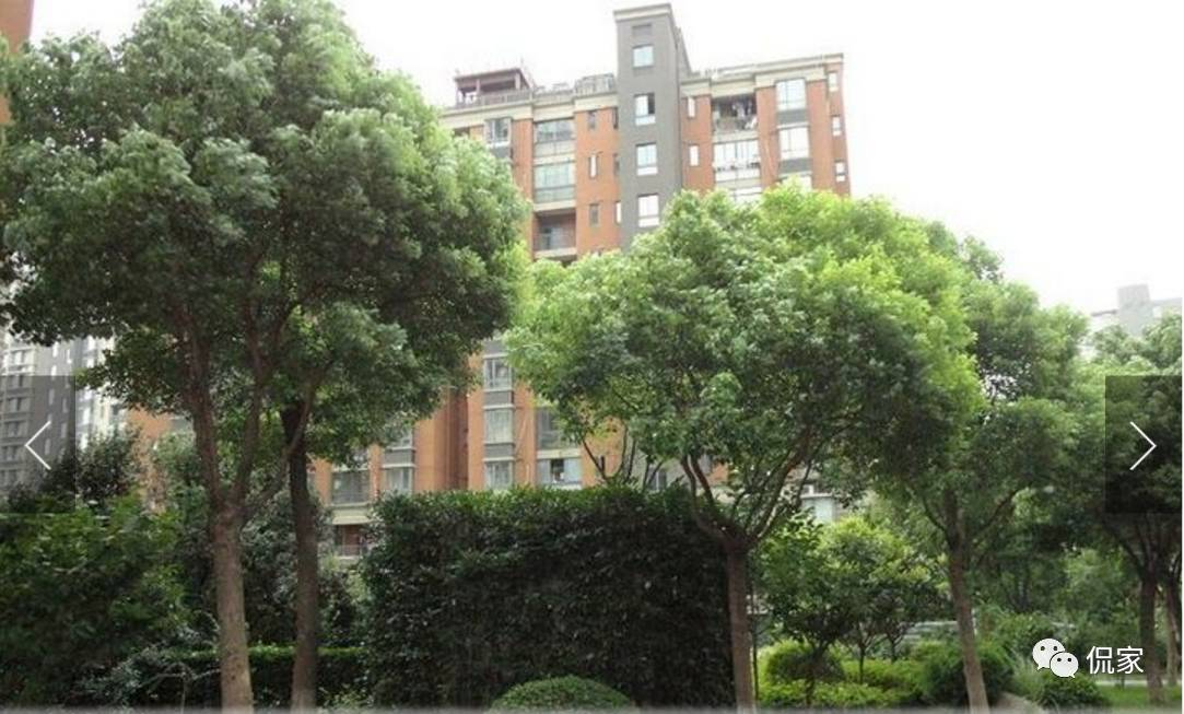 长春欢乐颂几楼好玩