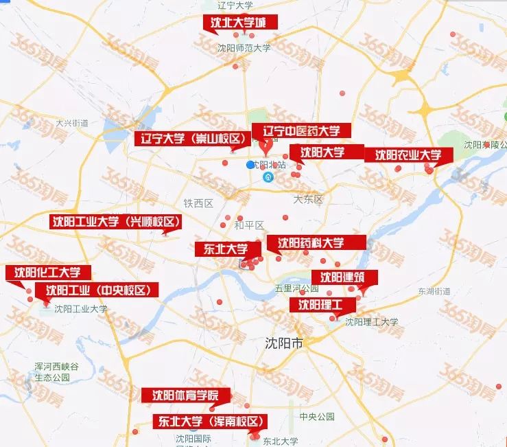 沈北大学城怎么找大学生