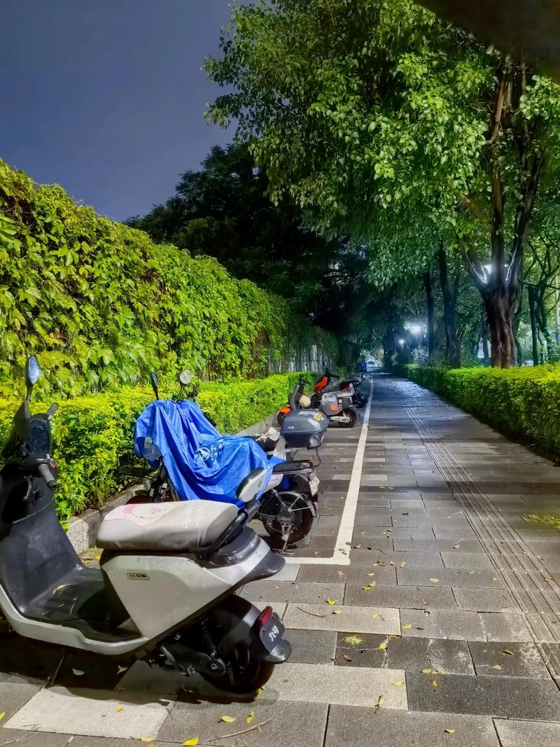 丽江罗湖草铺站街