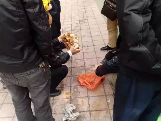 中堂哪里有幼巷