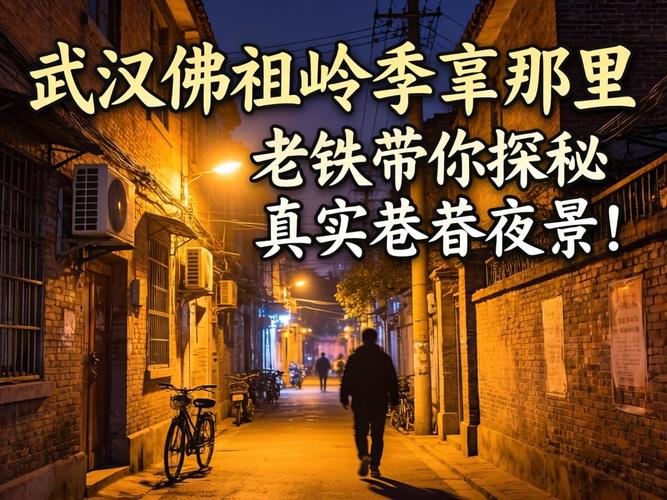 武汉佛祖岭夜晚小路在哪