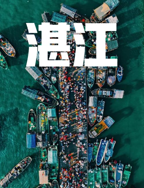 湛江95场