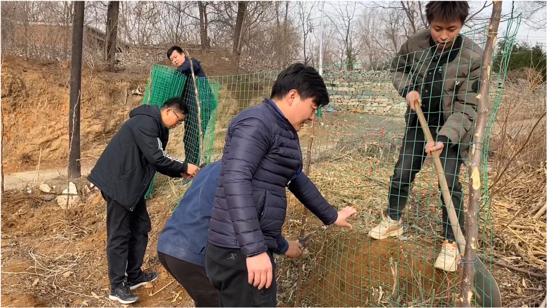 大活是按全身吗