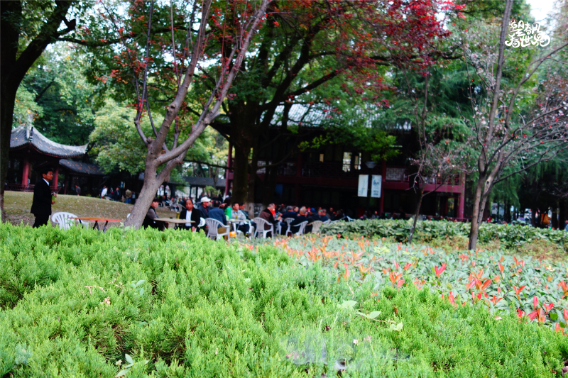 黄冈419后花圃