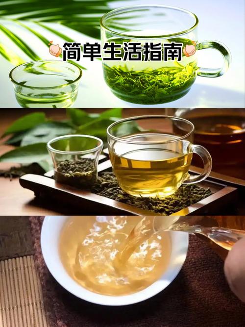 西安喝茶大选海选t台品茶
