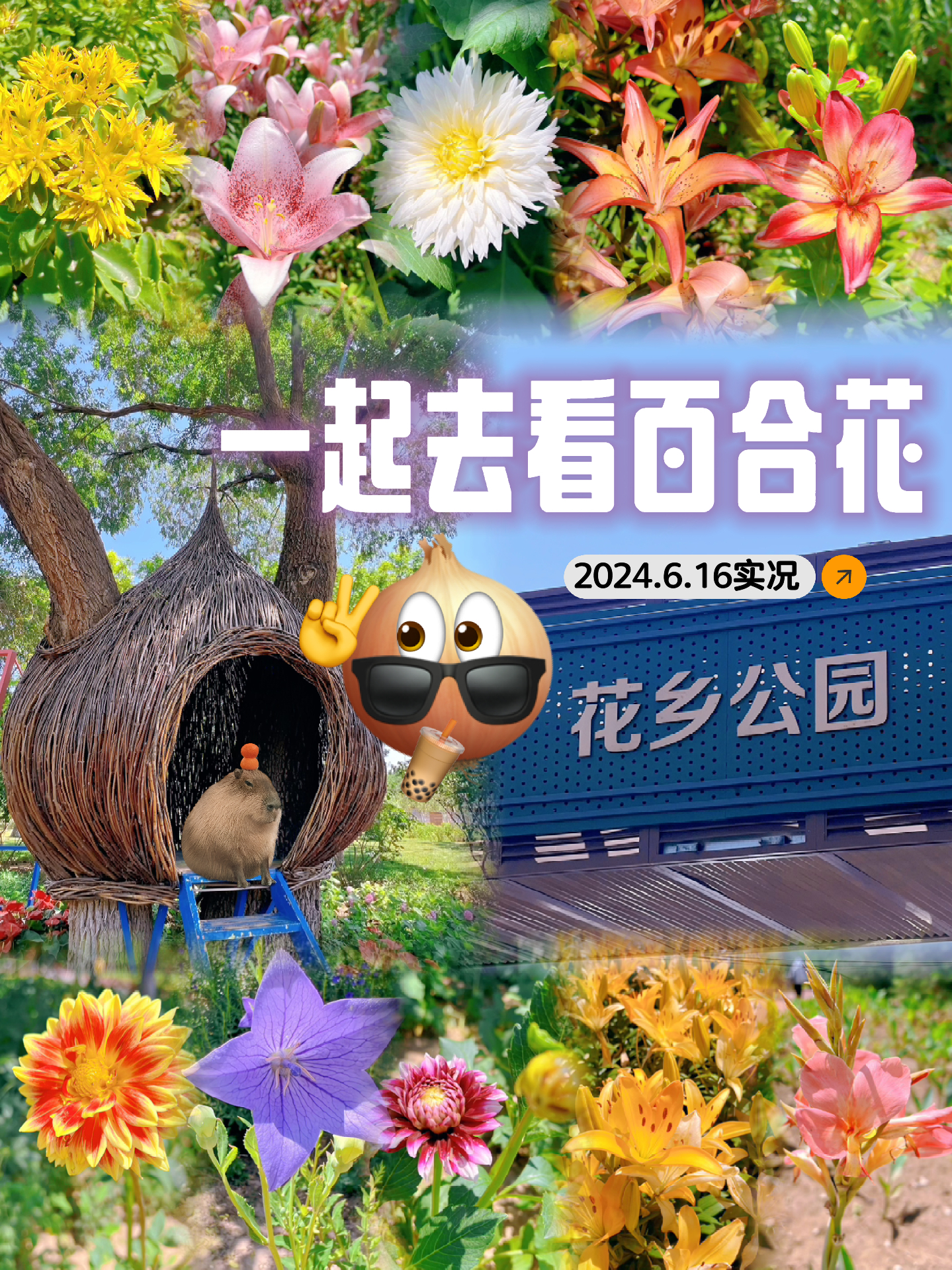 百花丛最新信息