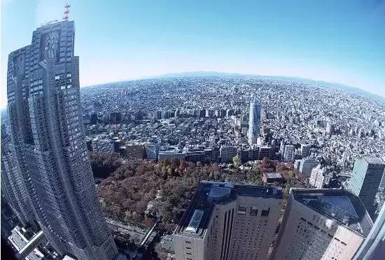东郊到家最高什么价位