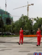 建阳火车站的鸡